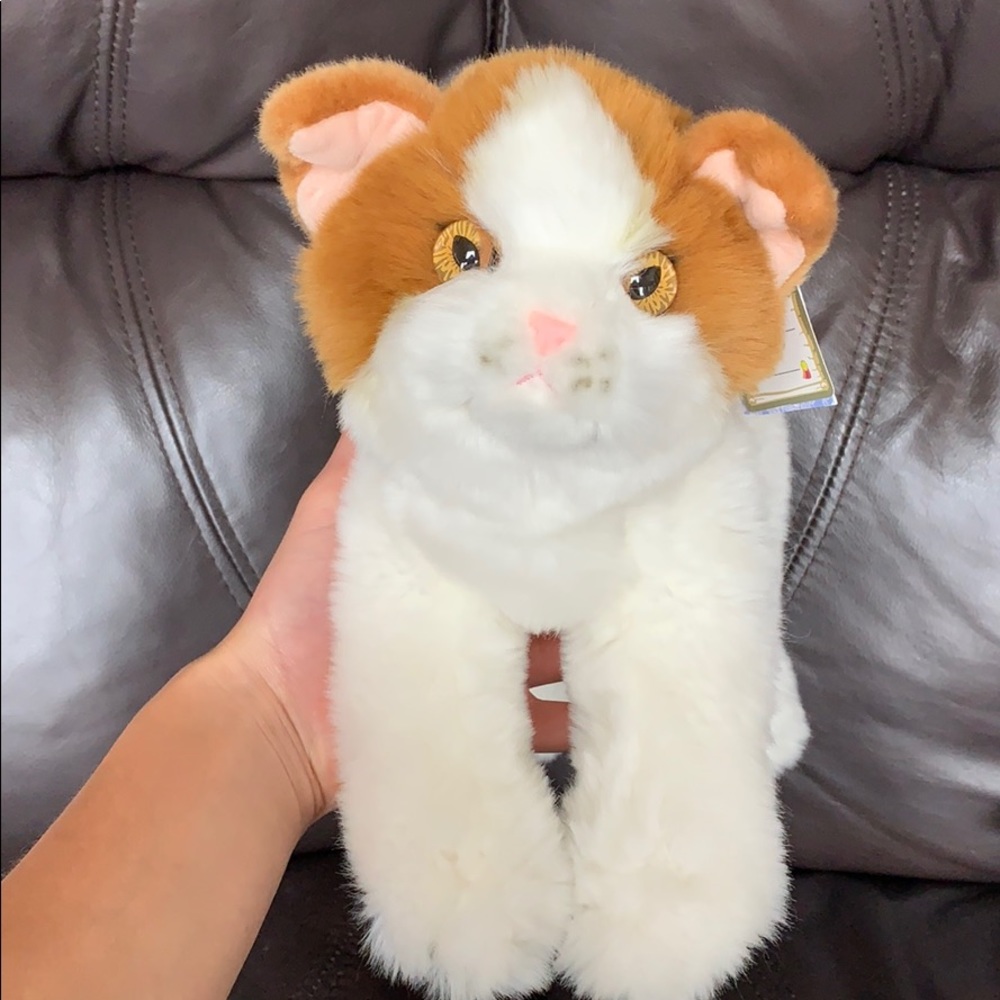 Cat stuffed animal!